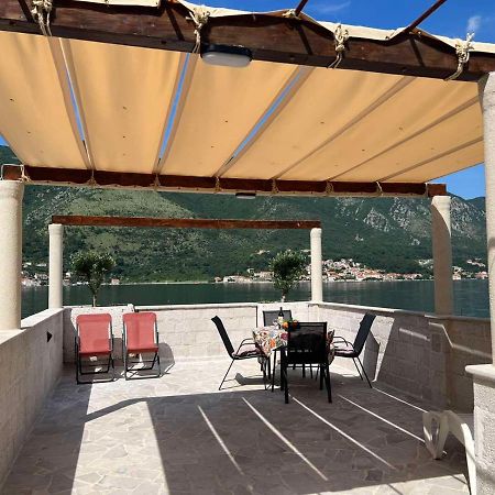 Sea Front 171 Daire Kotor Dış mekan fotoğraf