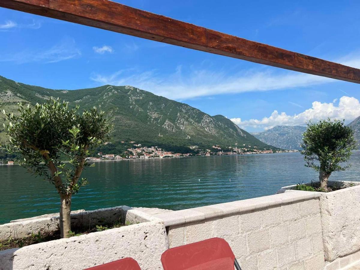 Sea Front 171 Daire Kotor Dış mekan fotoğraf