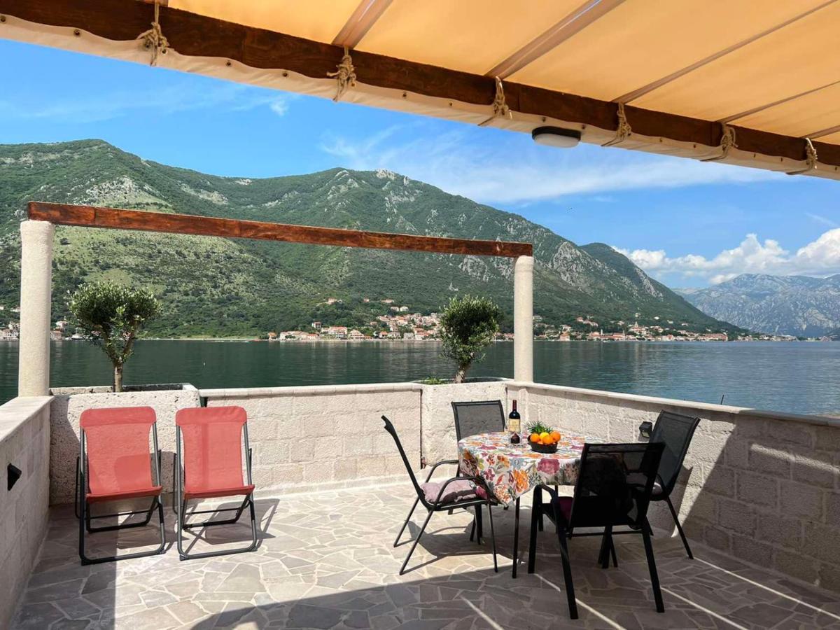 Sea Front 171 Daire Kotor Dış mekan fotoğraf