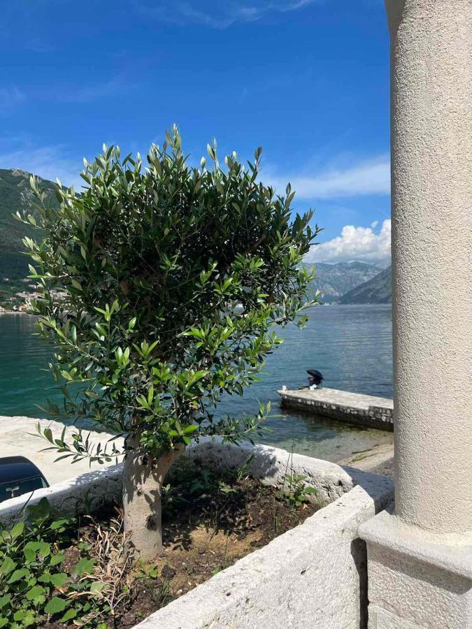 Sea Front 171 Daire Kotor Dış mekan fotoğraf